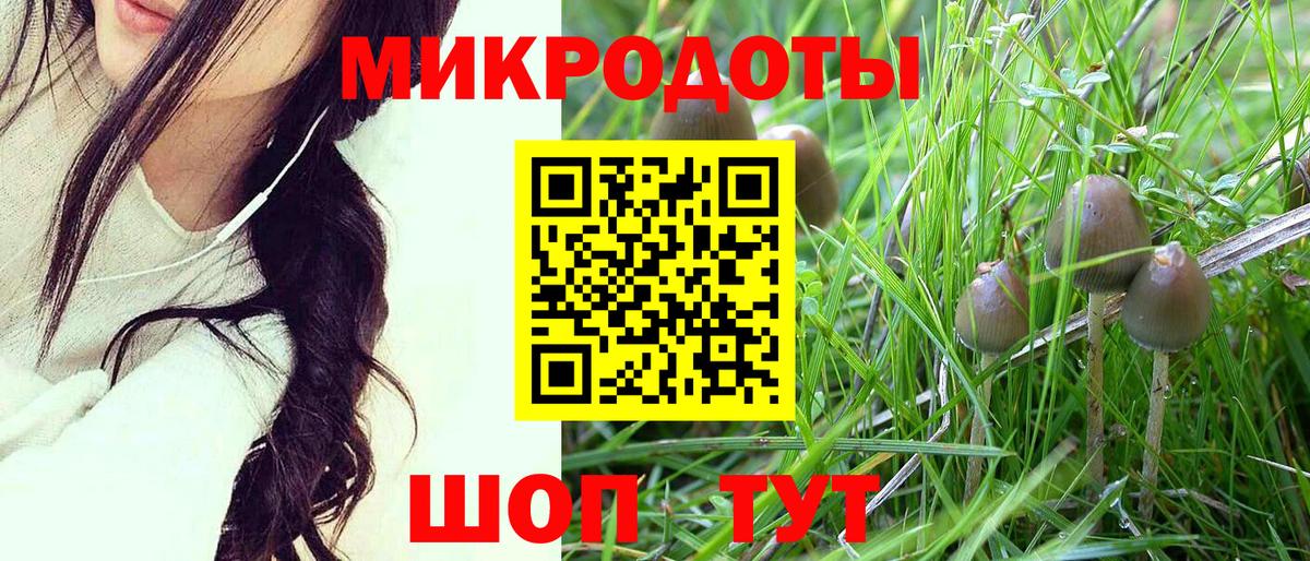 где найти   Псилоцибиновые грибы Psilocybine cubensis  Псилоцибиновые грибы Cubensis  Вход с VPN  Кингисепп 