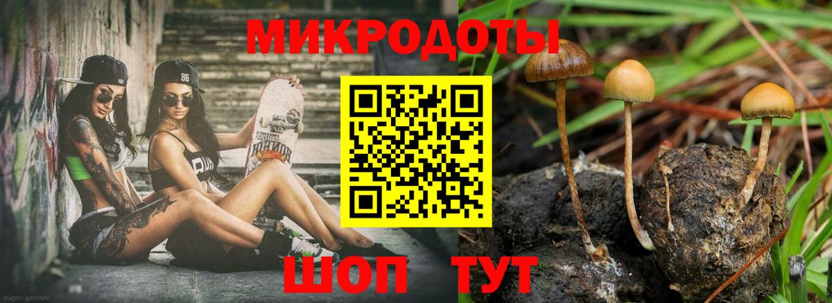 Галлюциногенные грибы мицелий Кингисепп
