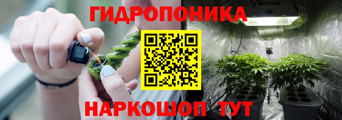 Кингисепп  МАРИХУАНА сатива  Бошки марихуана гибрид  Вход с VPN 